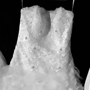 Plus size Wedding Dress(Monique Luo) David Bridal